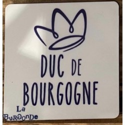 SOUS VERRE DUC de Bourgogne