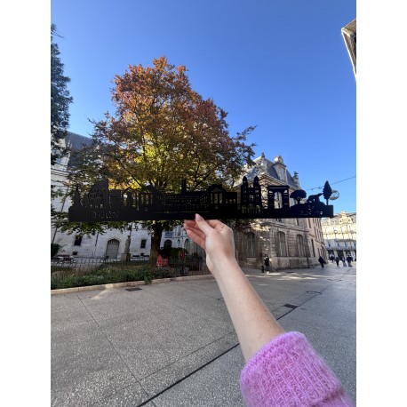 TAPIS DIJON, C'EST CHOUETTE